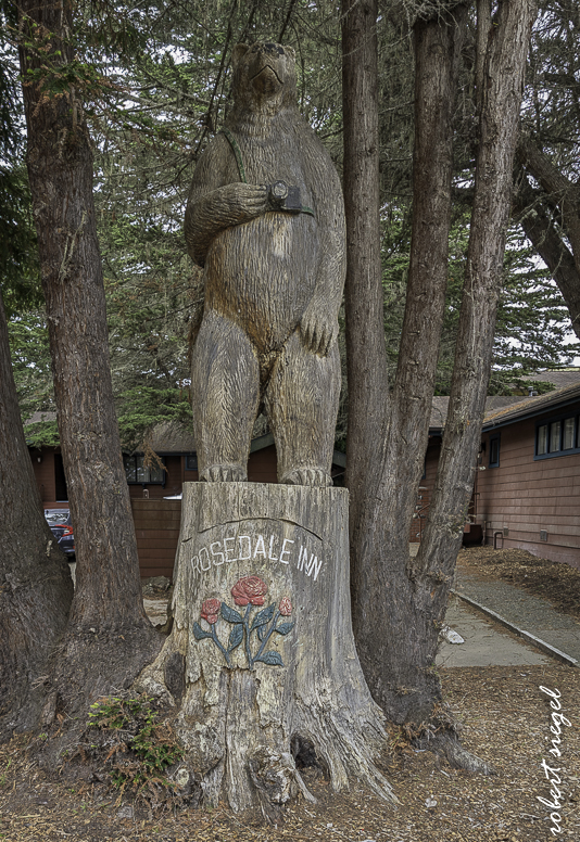 pacificgrove